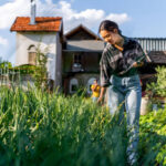Spring Into Action: Planting Strategies for the Eager Homesteader