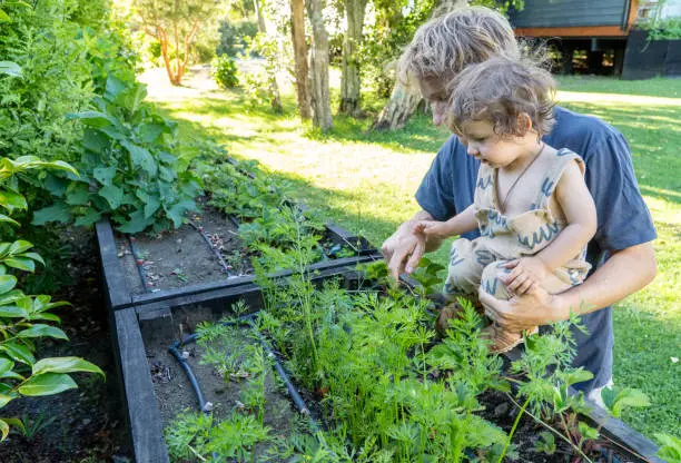 Backyard Alchemy: Permaculture in Homesteading